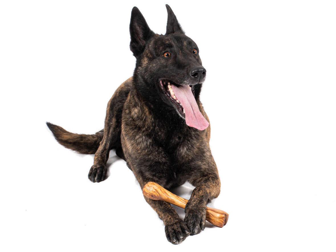 Jouet pour chien Olibone en bois d'olivier - 3 tailles